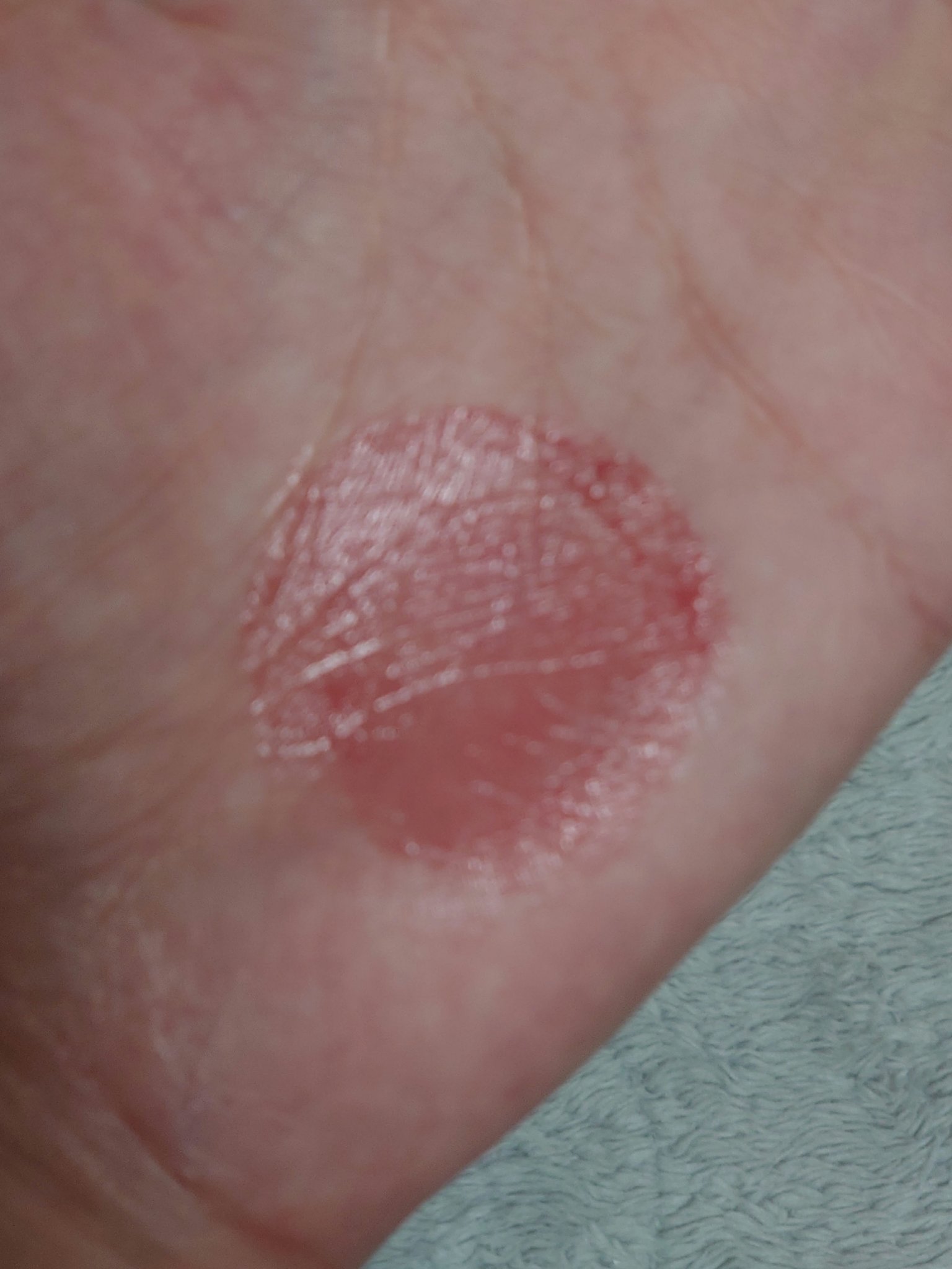 リップカラーシールド/CEZANNE/口紅を使ったクチコミ（3枚目）