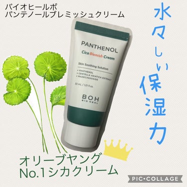 パンテノールシカブレミッシュクリーム/BIOHEAL BOH/フェイスクリームを使ったクチコミ（1枚目）