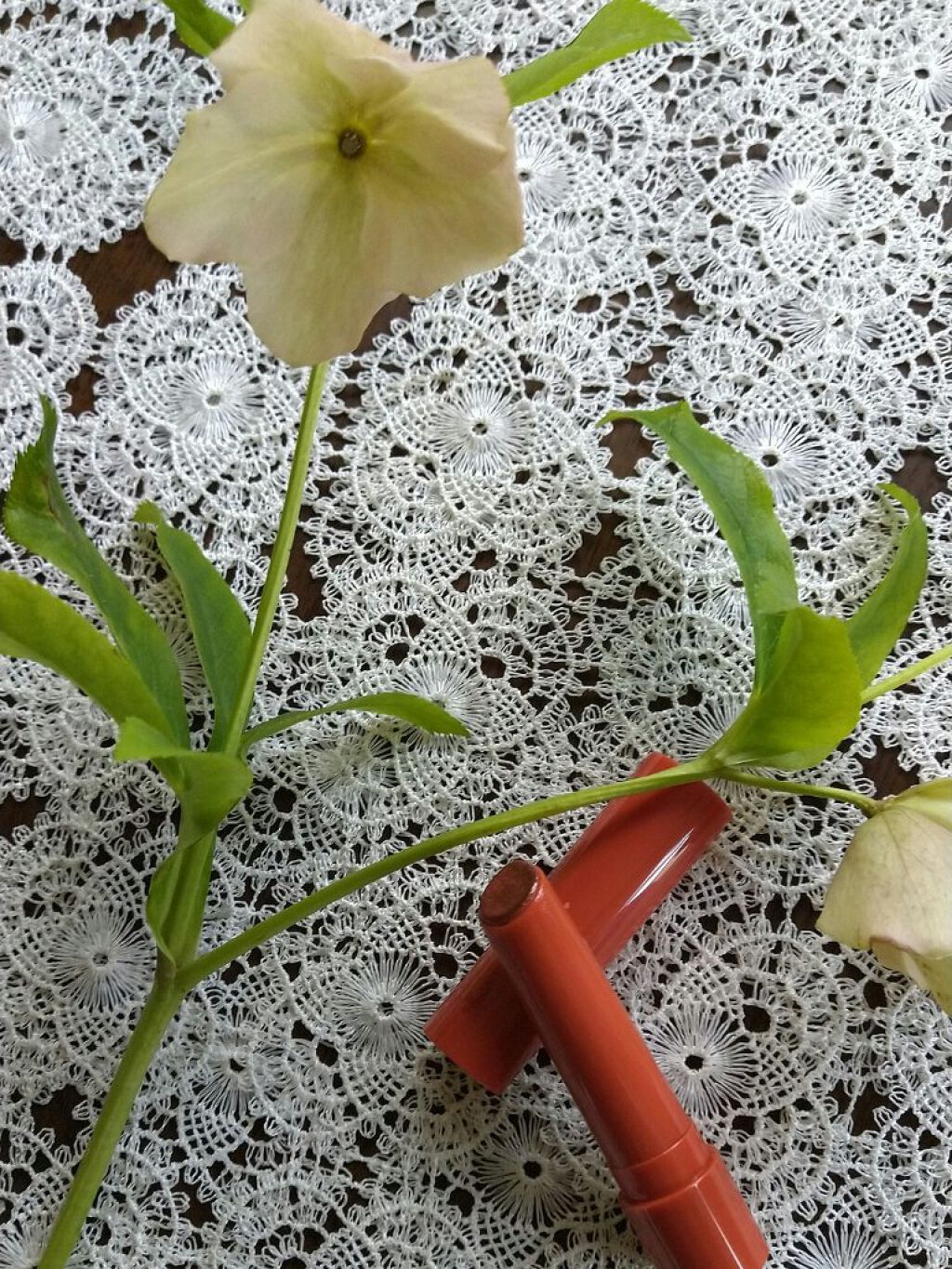 エテュセ リップエディション(プランパー)リッチスタイル/ヘルシースタイル/ettusais/リップケアを使ったクチコミ(1枚目)