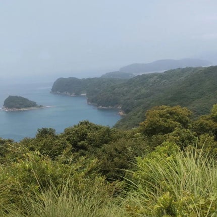 トラベルセット/アヴィセンナ/スキンケアキットを使ったクチコミ(8枚目)