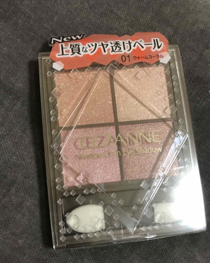ニュアンスオンアイシャドウ/CEZANNE/アイシャドウパレットを使ったクチコミ(1枚目)