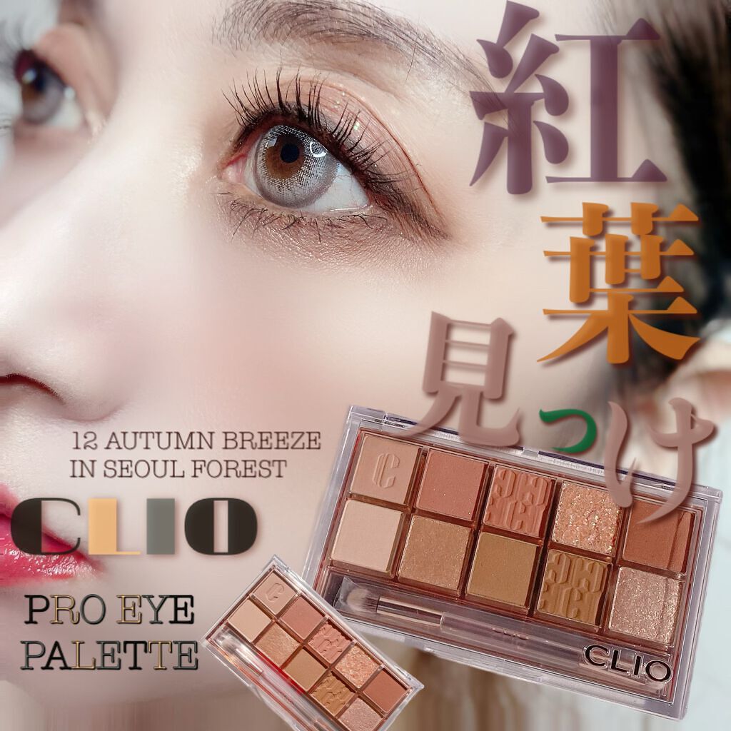 プロ アイ パレット/CLIO/アイシャドウパレットを使ったクチコミ（1枚目）