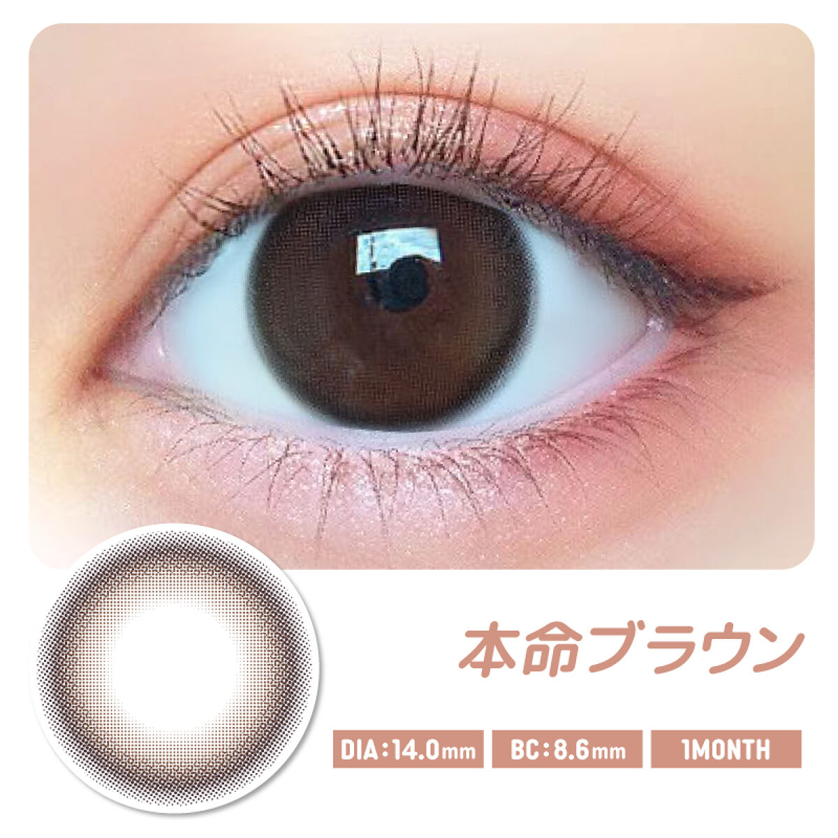 モテコン for スクール マンスリー 本命ブラウン