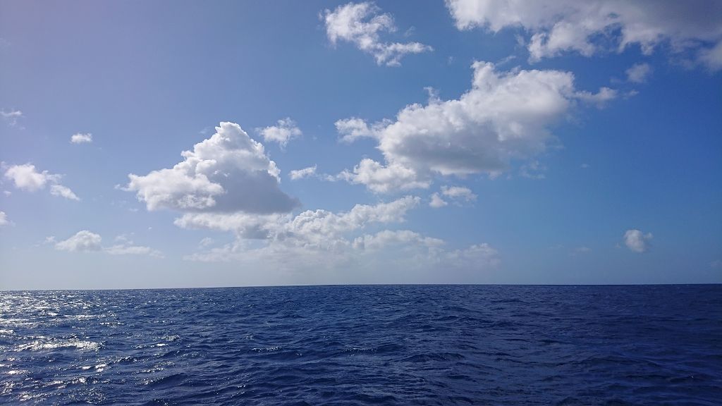 【旧】ディオール アディクト リップ マキシマイザー/Dior/リップグロスを使ったクチコミ(2枚目)