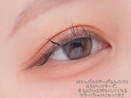 シャドウパレット/dasique/アイシャドウパレットを使ったクチコミ(2枚目)