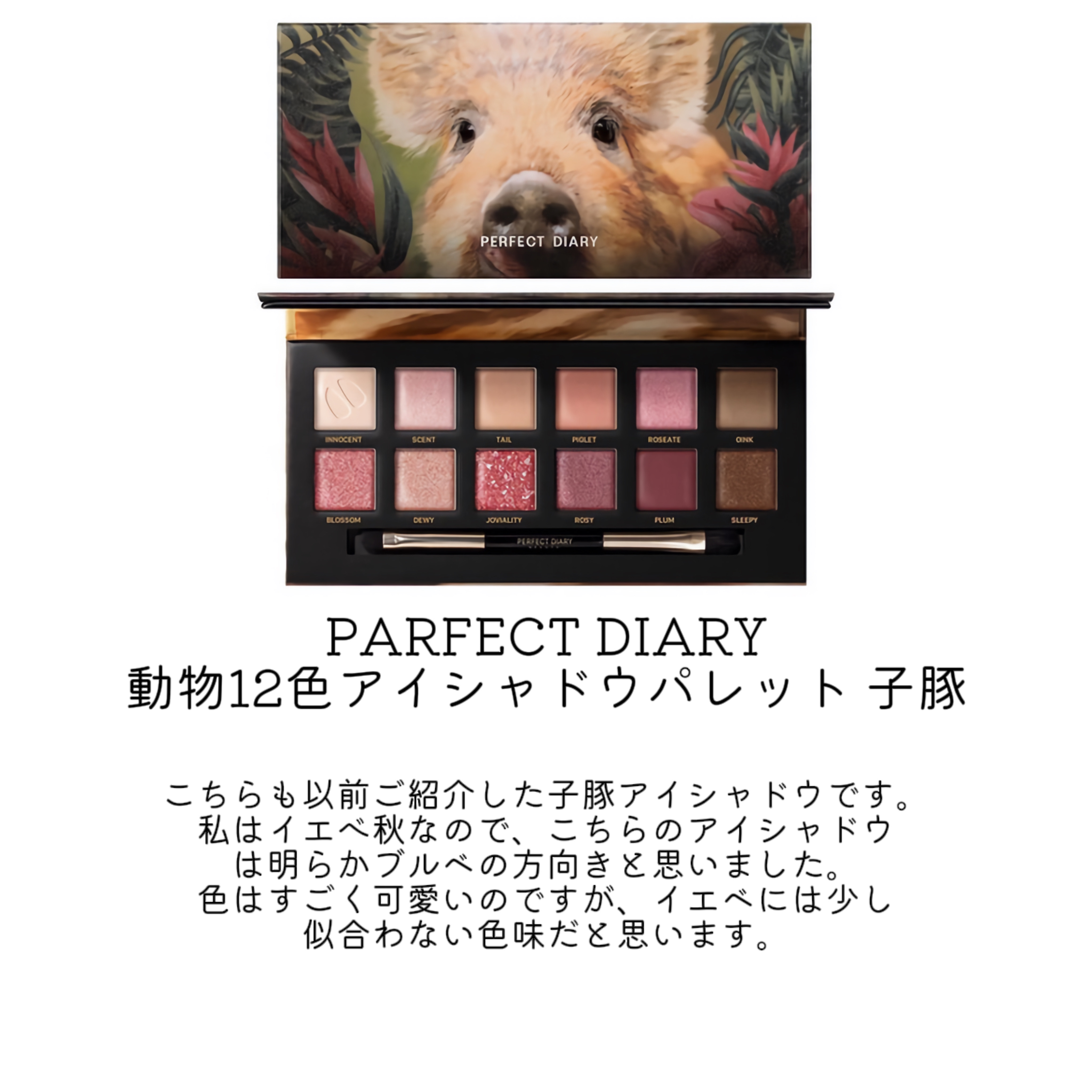 エクスプローラ12色 動物アイシャドウパレット/PERFECT DIARY/アイシャドウパレットを使ったクチコミ（3枚目）