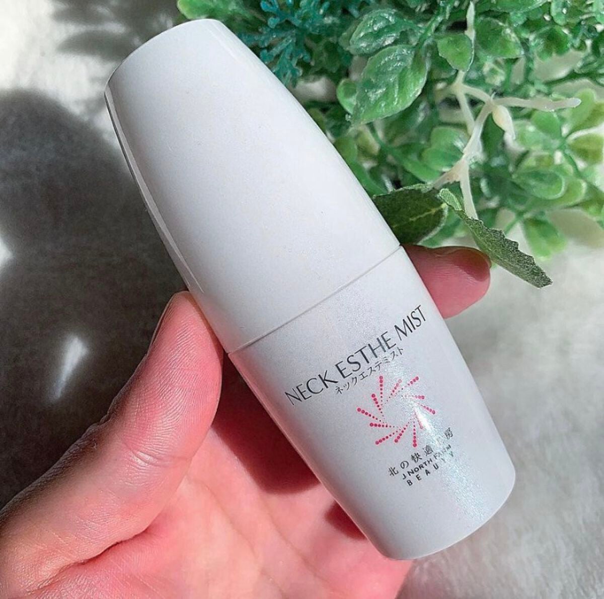 ネックエステミスト/北の快適工房/ネック・デコルテケアを使ったクチコミ(3枚目)