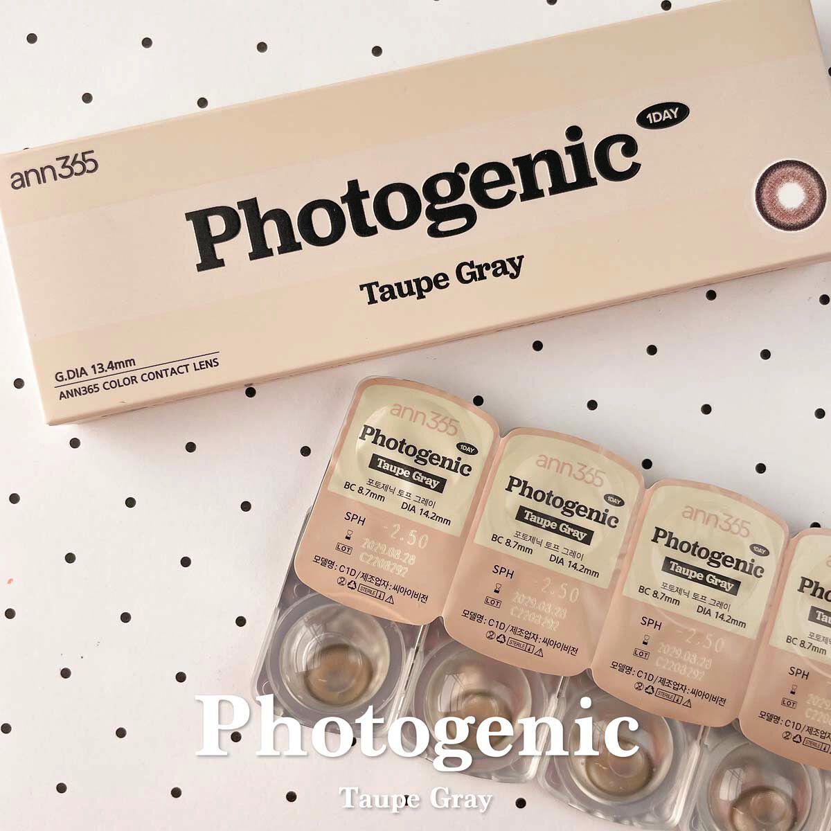 フォトジェニック 1DAY / ANN365LENS