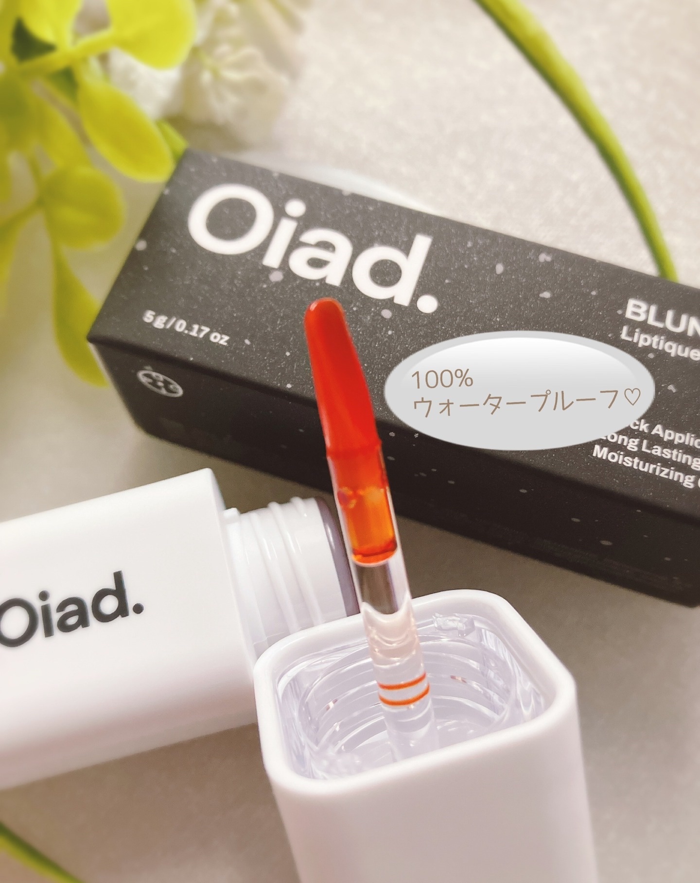 リップティーク/oiad/口紅を使ったクチコミ（2枚目）