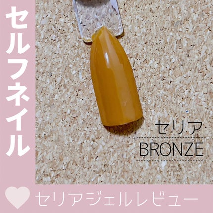 パル カラージェル ブラウン/キャンドゥ/ジェルネイルの画像