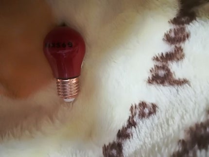 Lamp Juicy Tint/G9SKIN/口紅を使ったクチコミ(2枚目)