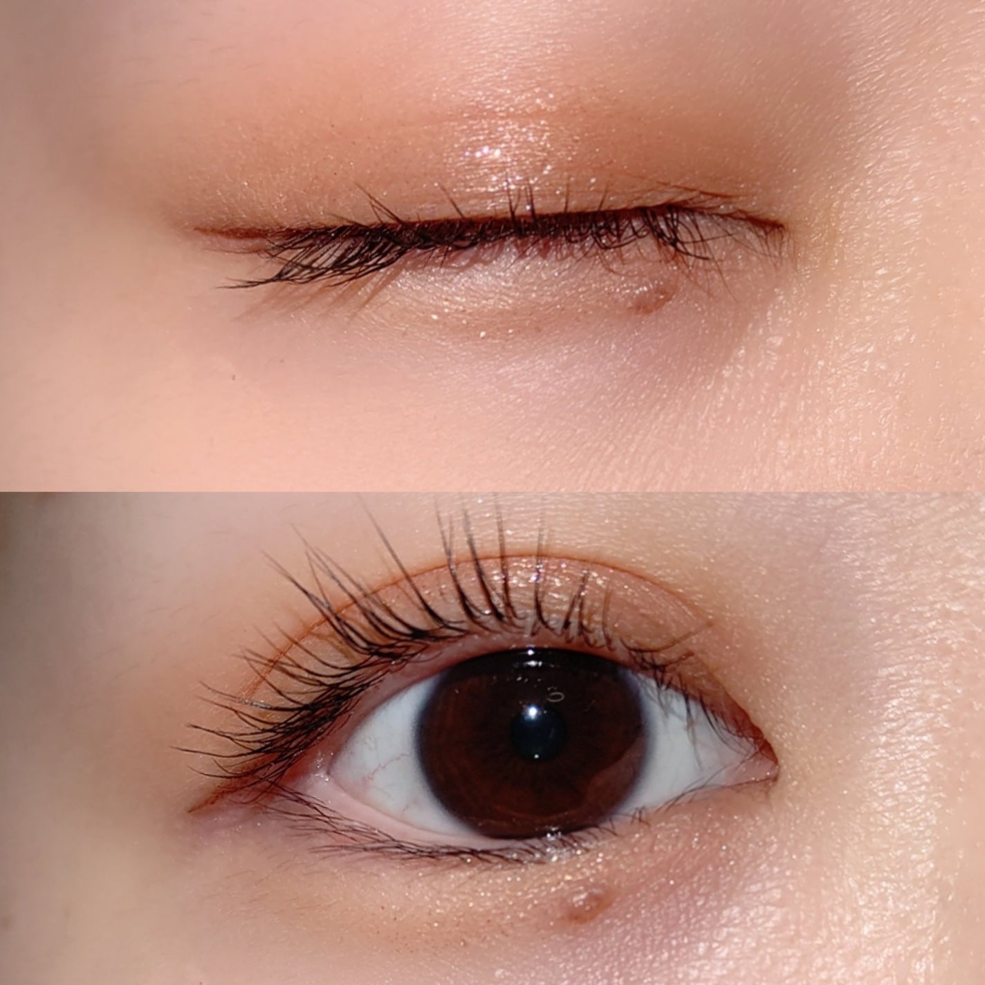 ビタートーンアイシャドウ/CEZANNE/パウダーアイシャドウを使ったクチコミ(3枚目)