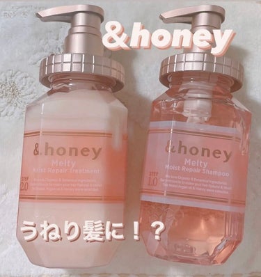 &honey Melty モイストリペア シャンプー1.0／モイストリペア ヘアトリートメント2.0/&honey/シャンプー・コンディショナーを使ったクチコミ（1枚目）