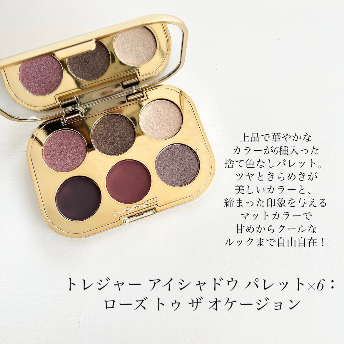 トレジャー アイシャドウ パレット ×6/M・A・C/アイシャドウパレットを使ったクチコミ(3枚目)