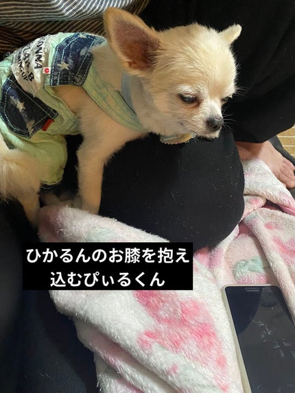 プレステージ ラ クレーム/Dior/フェイスクリームを使ったクチコミ(8枚目)