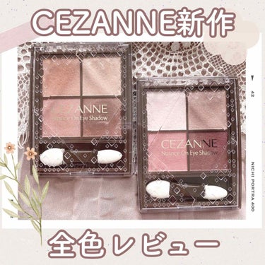 ニュアンスオンアイシャドウ/CEZANNE/アイシャドウパレットを使ったクチコミ（1枚目）