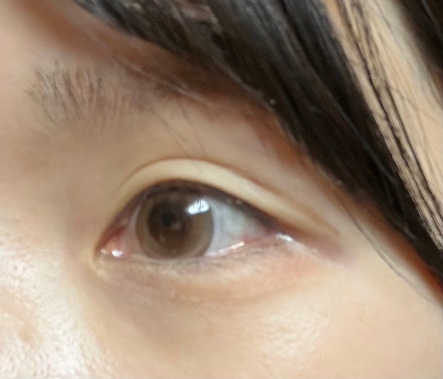 Majette 1day/Majette/ワンデー(1DAY)カラコンを使ったクチコミ(1枚目)