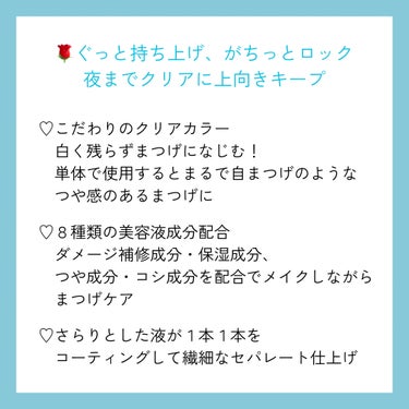 ピメル パーフェクトカールロックベース/pdc/マスカラ下地・トップコートを使ったクチコミ（2枚目）