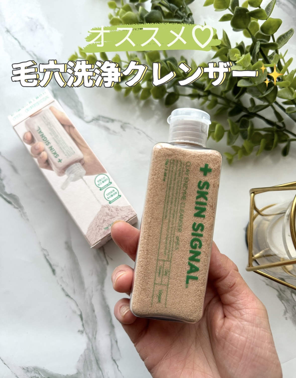 グリーン クレイ酵素クレンザー/SKIN SIGNAL/洗顔パウダーを使ったクチコミ（1枚目）