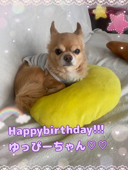 ミニネイル/パラドゥ/マニキュアを使ったクチコミ(6枚目)