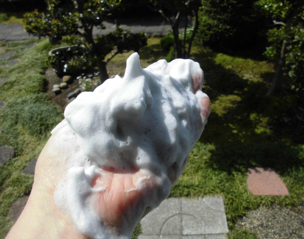 クレージュ クリアウォッシュ/CLAYGE/洗顔フォームを使ったクチコミ(4枚目)