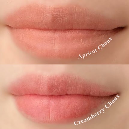 ベルベットシューティント/INGA/リップティントを使ったクチコミ(4枚目)