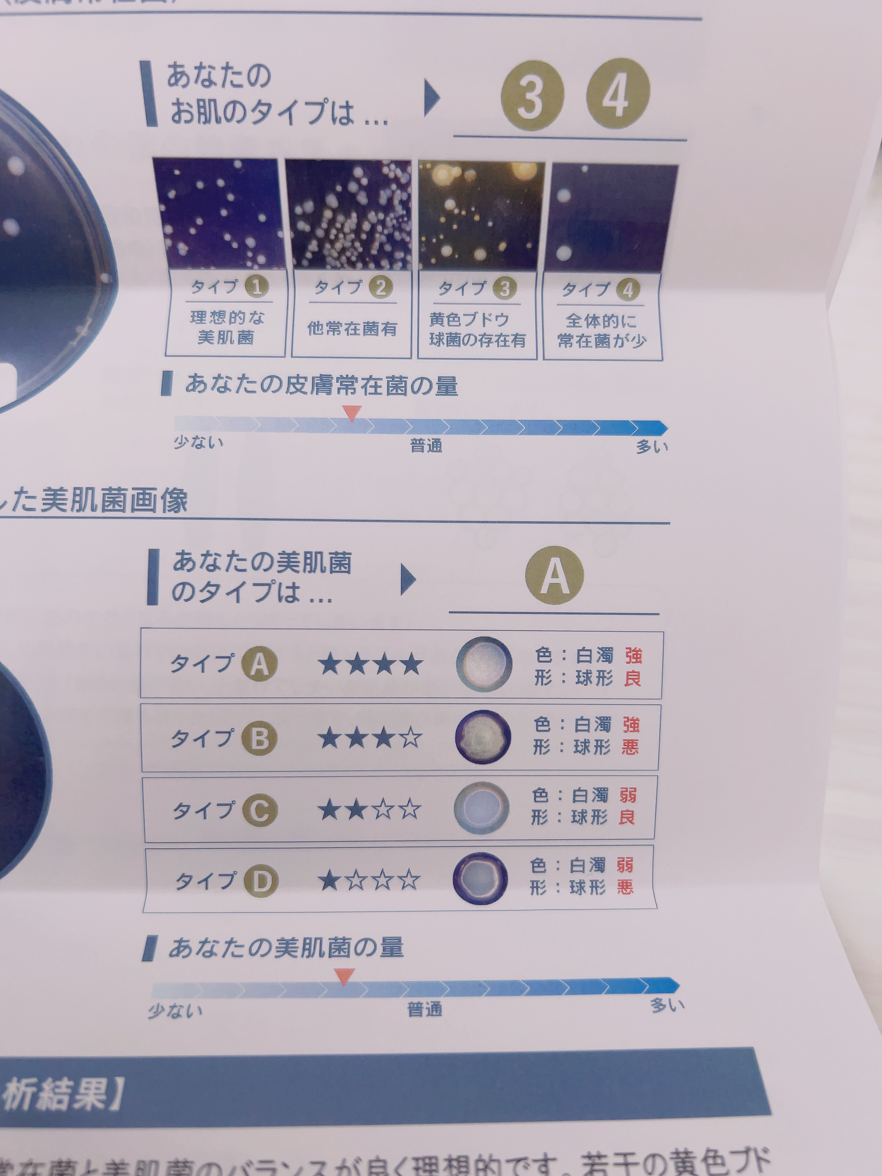 エルピダ セリア/ELPIDA/フェイスクリームを使ったクチコミ（2枚目）