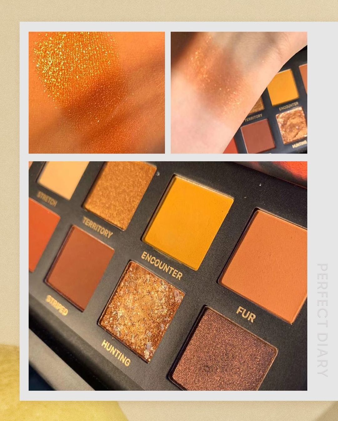 エクスプローラ12色 動物アイシャドウパレット/PERFECT DIARY/アイシャドウパレットを使ったクチコミ（3枚目）