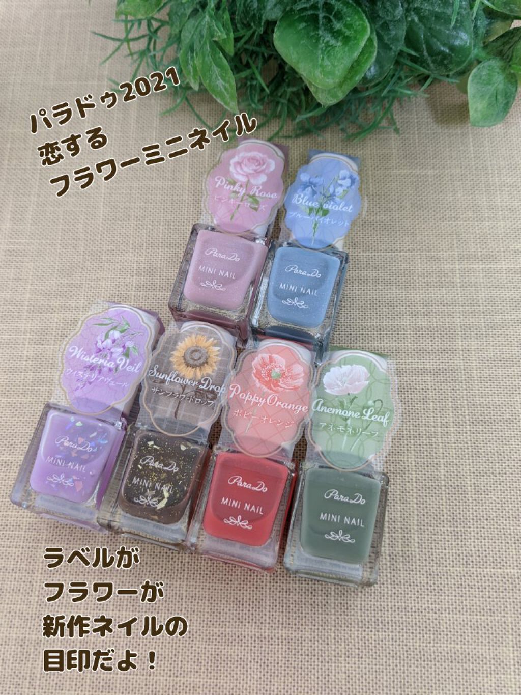 ミニネイル/パラドゥ/マニキュアを使ったクチコミ（1枚目）