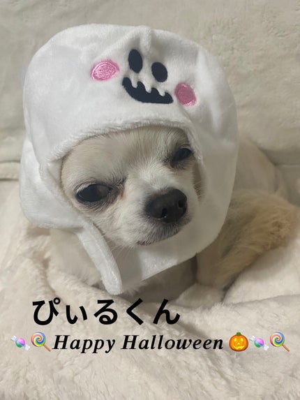 VICTORIA’S SECRET Love addition/victoria's secret (ヴィクトリアズシークレット)/その他スキンケアグッズを使ったクチコミ(5枚目)