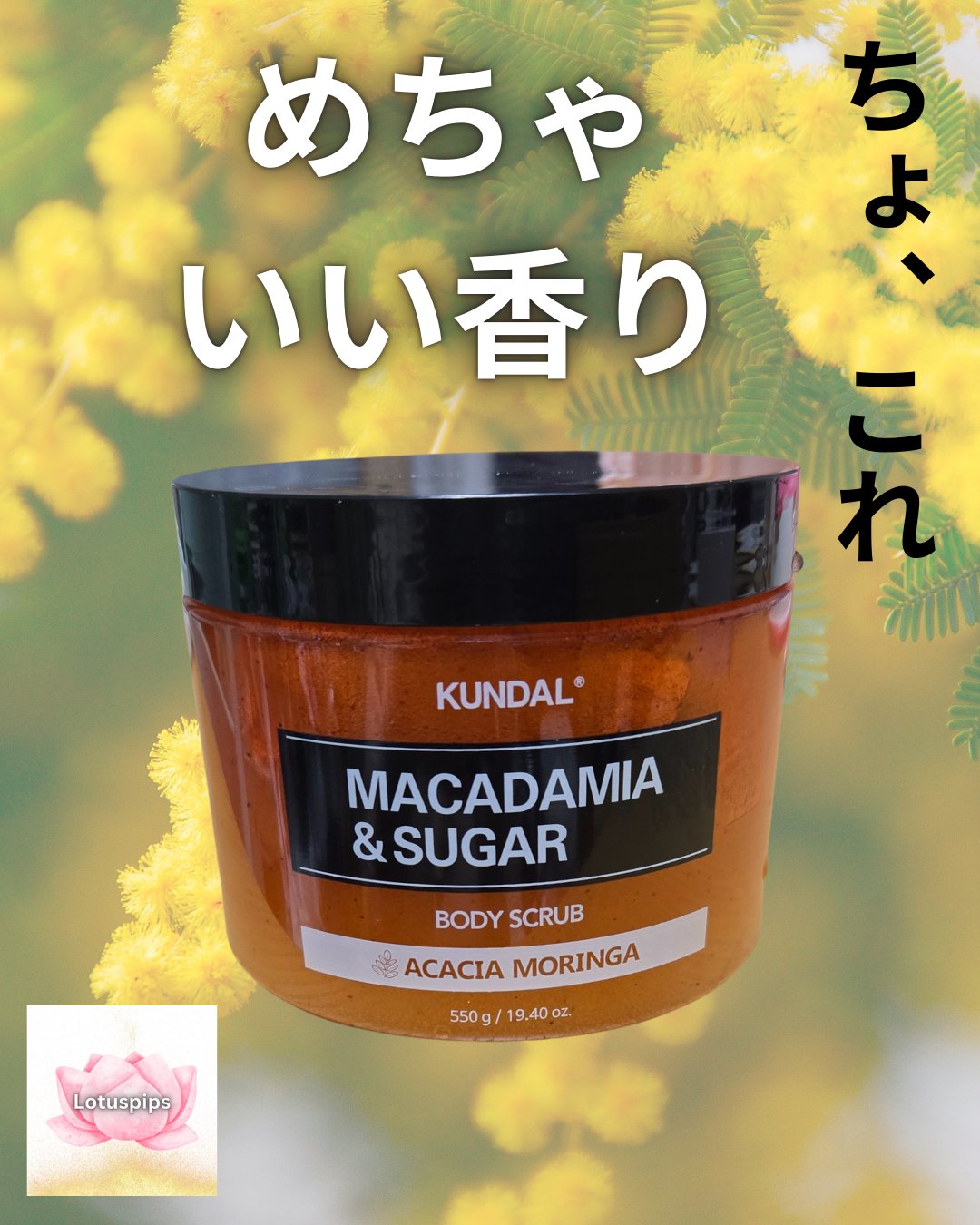 KUNDAL シュガーボディスクラブ　アカシアモリンガのクチコミ「🪷おおきに、 ローちゃんどす～🪷


ワゴンセールで見つけてめちゃ気になって購入。


★KU.....」（1枚目）