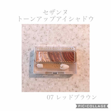 トーンアップアイシャドウ/CEZANNE/アイシャドウパレットを使ったクチコミ(1枚目)