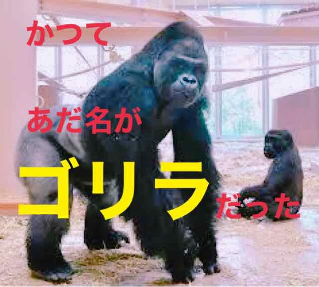 紅の豚 ブルベ冬 混合肌 on LIPS 「ただ、今あだ名がゴリラで悩んでる同類を励ましたいだけの投稿何で..」(1枚目)