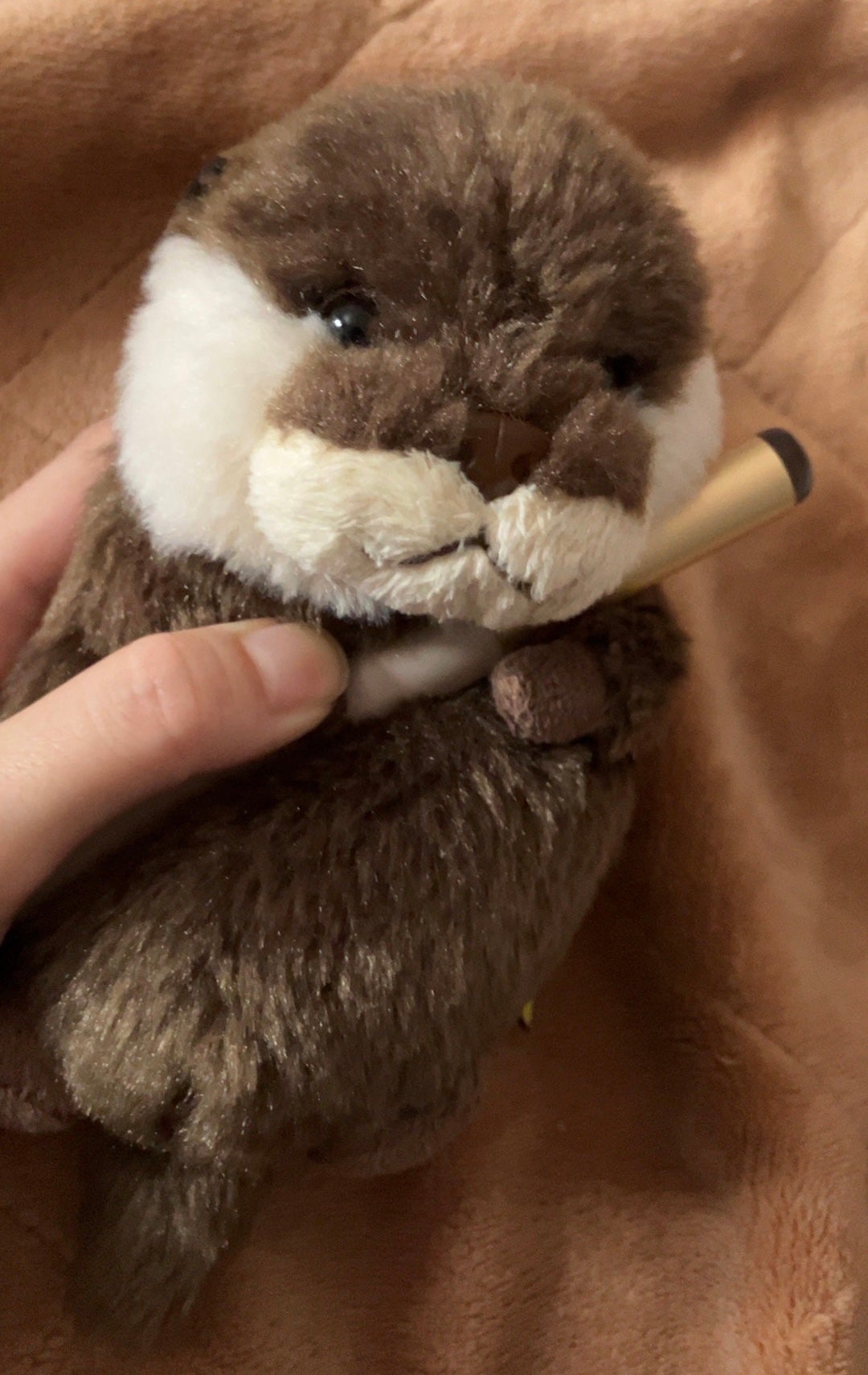 3COINS/3COINS/その他を使ったクチコミ(5枚目)