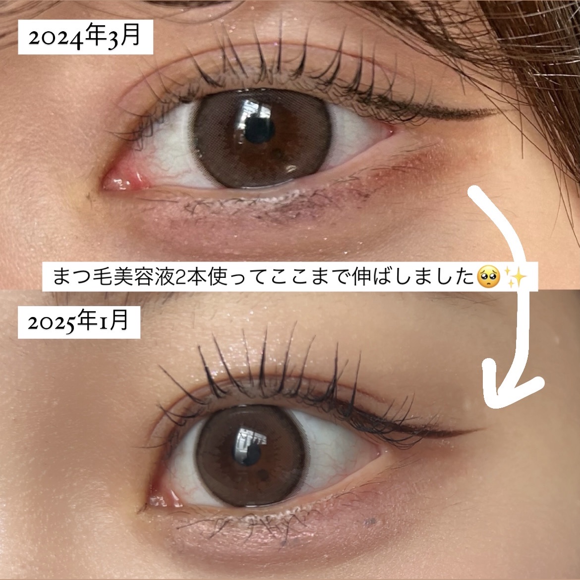 ラッシュジェリードロップ　ＥＸ/MAJOLICA MAJORCA/まつげ美容液を使ったクチコミ（2枚目）