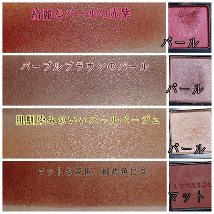 アイカラーレーション スペシャルエディション/LUNASOL/アイシャドウパレットを使ったクチコミ(3枚目)