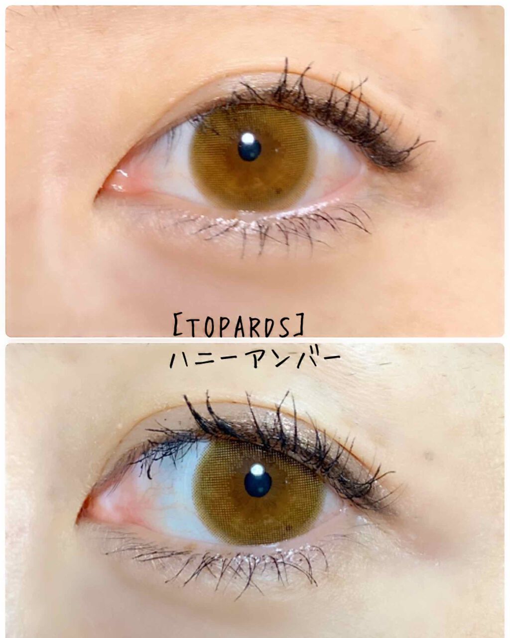 TOPARDS 1day ハニーアンバー/TOPARDS/ワンデー（１DAY）カラコンを使ったクチコミ（2枚目）