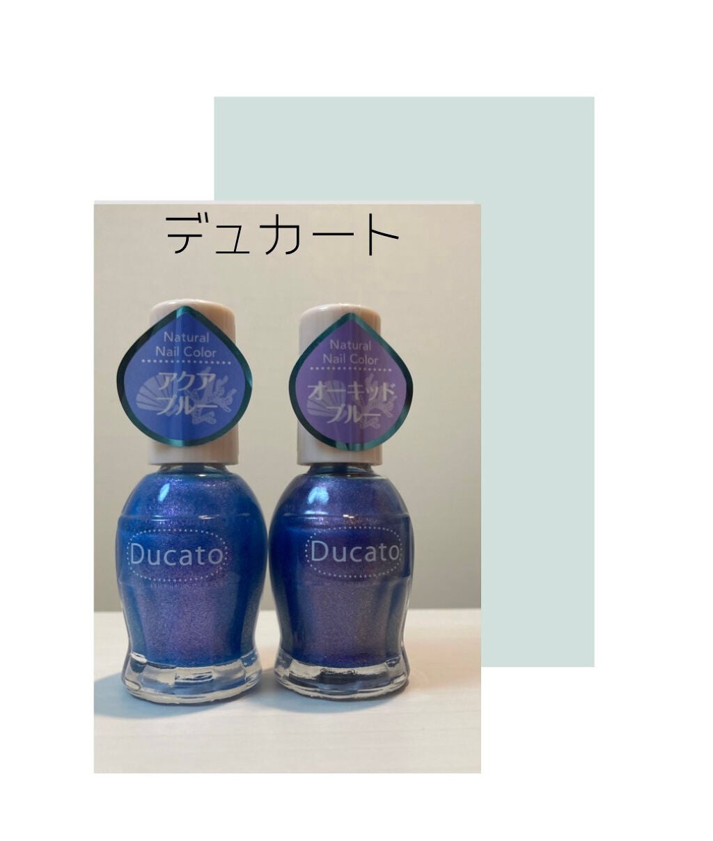 ナチュラルネイルカラーN/デュカート/マニキュアを使ったクチコミ(1枚目)