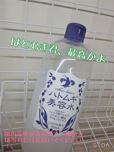 ハトムギ化粧水(ナチュリエ スキンコンディショナー R )/ナチュリエ/化粧水を使ったクチコミ（1枚目）