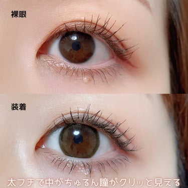 MOLAK MOLAK 1dayのクチコミ「MOLAKの新色レンズチェックした？

MOLAK 1dayブラウンバニー
DIA14.2mm.....」（3枚目）