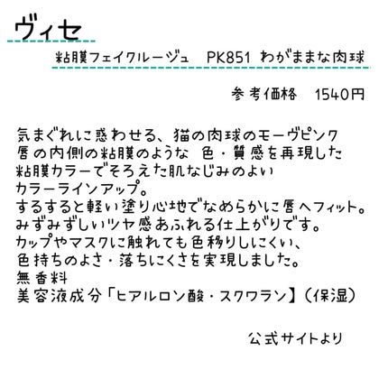 ネンマクフェイク ルージュ/Visée/口紅を使ったクチコミ(2枚目)