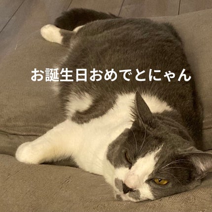 ã¯ãªãŒããŒã¿ããã©ã€ããŒ/ãã£ã³ã¡ã€ã¯/ãžã§ã«ã¢ã€ã©ã€ããŒã䜿ã£ãã¯ãã³ãïŒ6æç®ïŒ