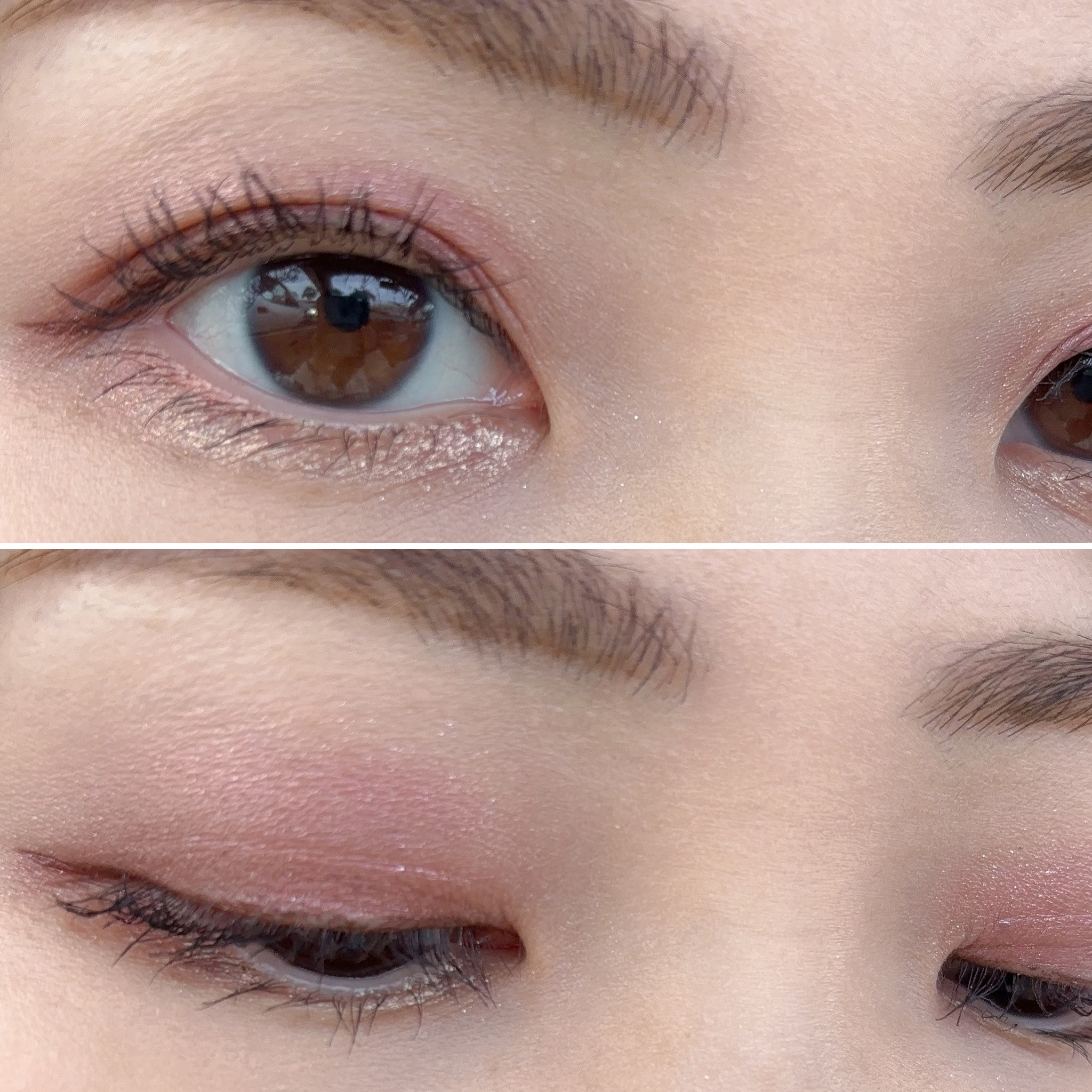 アイプランナー/excel/単色アイシャドウを使ったクチコミ（1枚目）