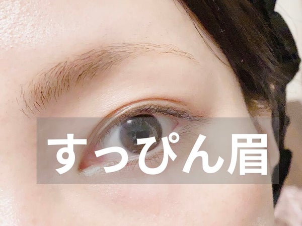 眉ティントSVR/Fujiko/眉ティント by ブルベ夏みかん🍊