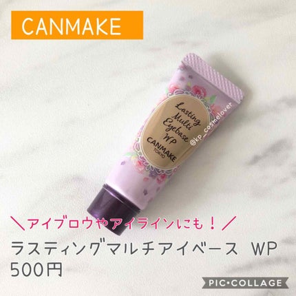 ラスティングマルチアイベース WP/キャンメイク/アイシャドウベースを使ったクチコミ(1枚目)