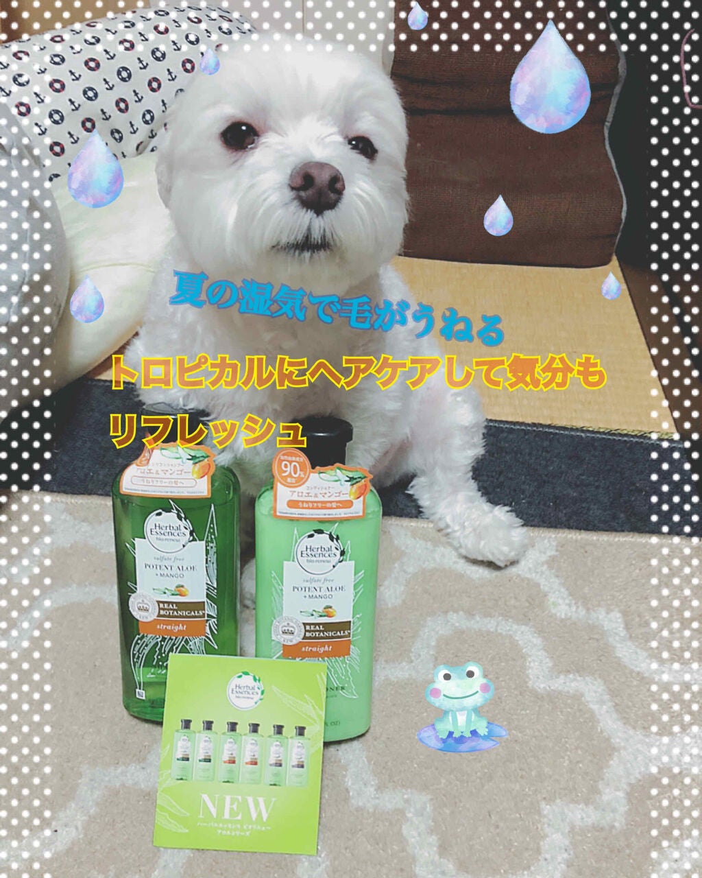 ビオリニュー アロエ&マンゴー シャンプー/コンディショナー/ハーバルエッセンス/市販シャンプーを使ったクチコミ(1枚目)