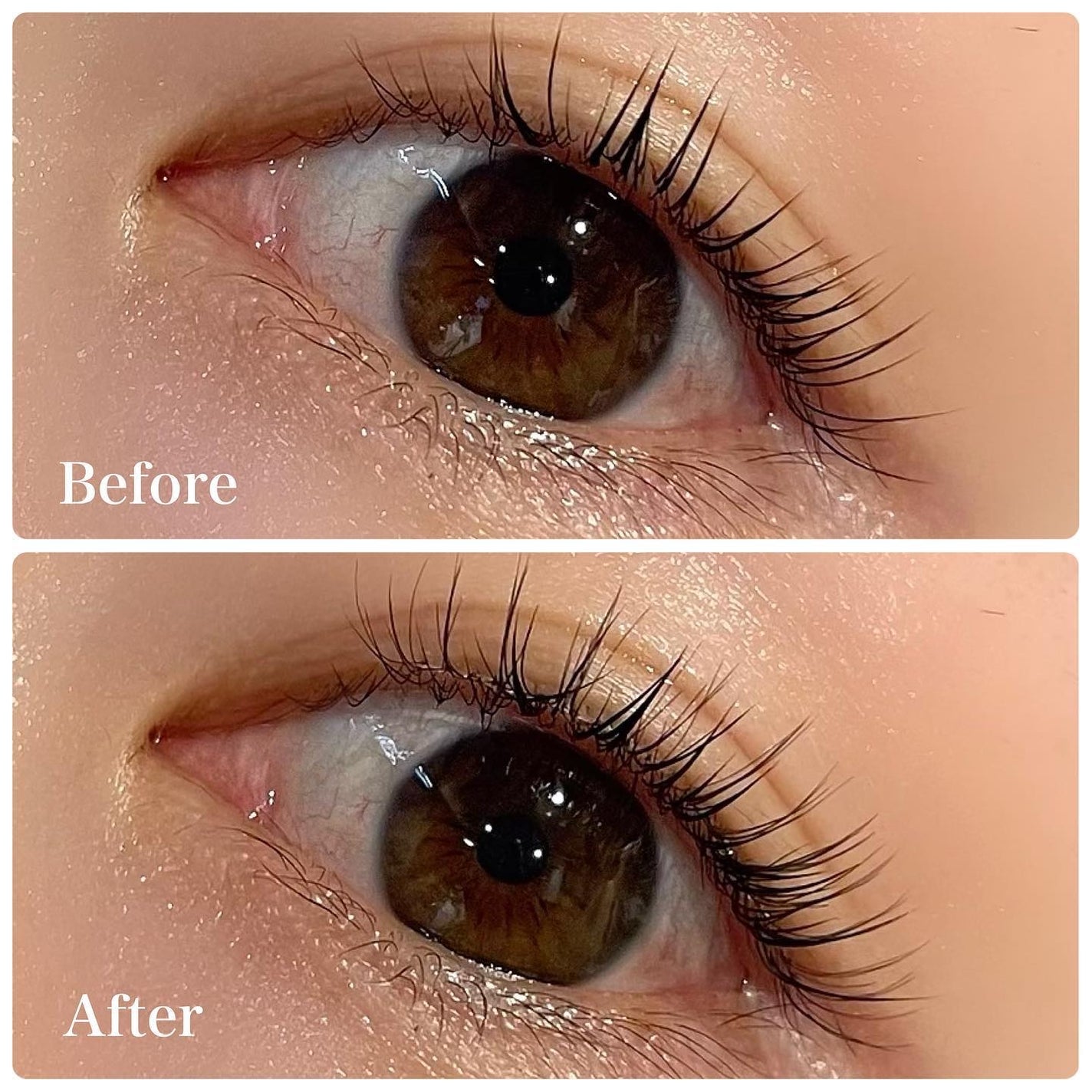 ラッシュオン/D-UP/つけまつげを使ったクチコミ(2枚目)