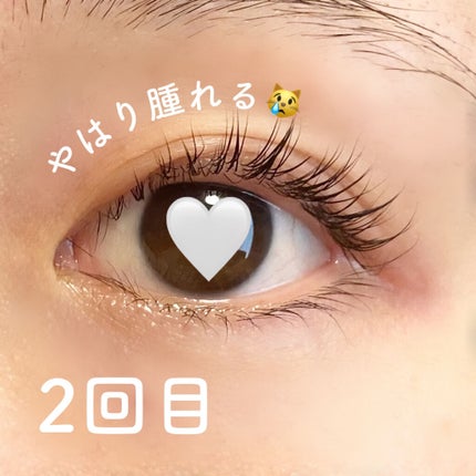 EYE2IN 低刺激 セルフプロ用 まつげパーマ 3種 セット/Qoo10/その他キットセットを使ったクチコミ(4枚目)