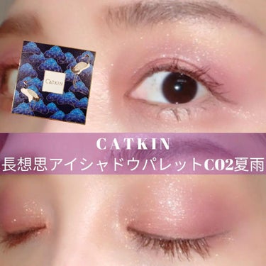 長相思シリーズ 9色アイシャドウパレット/CATKIN/アイシャドウパレットを使ったクチコミ（1枚目）