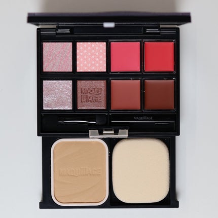 ドラマティックパレット/マキアージュ/マルチパレットを使ったクチコミ(3枚目)